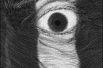 Scratchboard – Eye